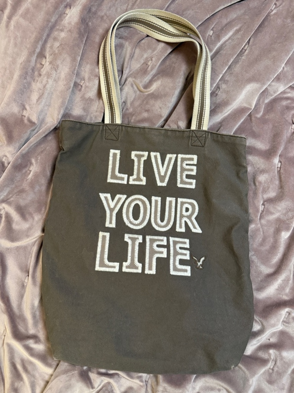AE LIVE YOUR LIFE Vintage 2000’s Brown Canvas Tote with Striped Handles